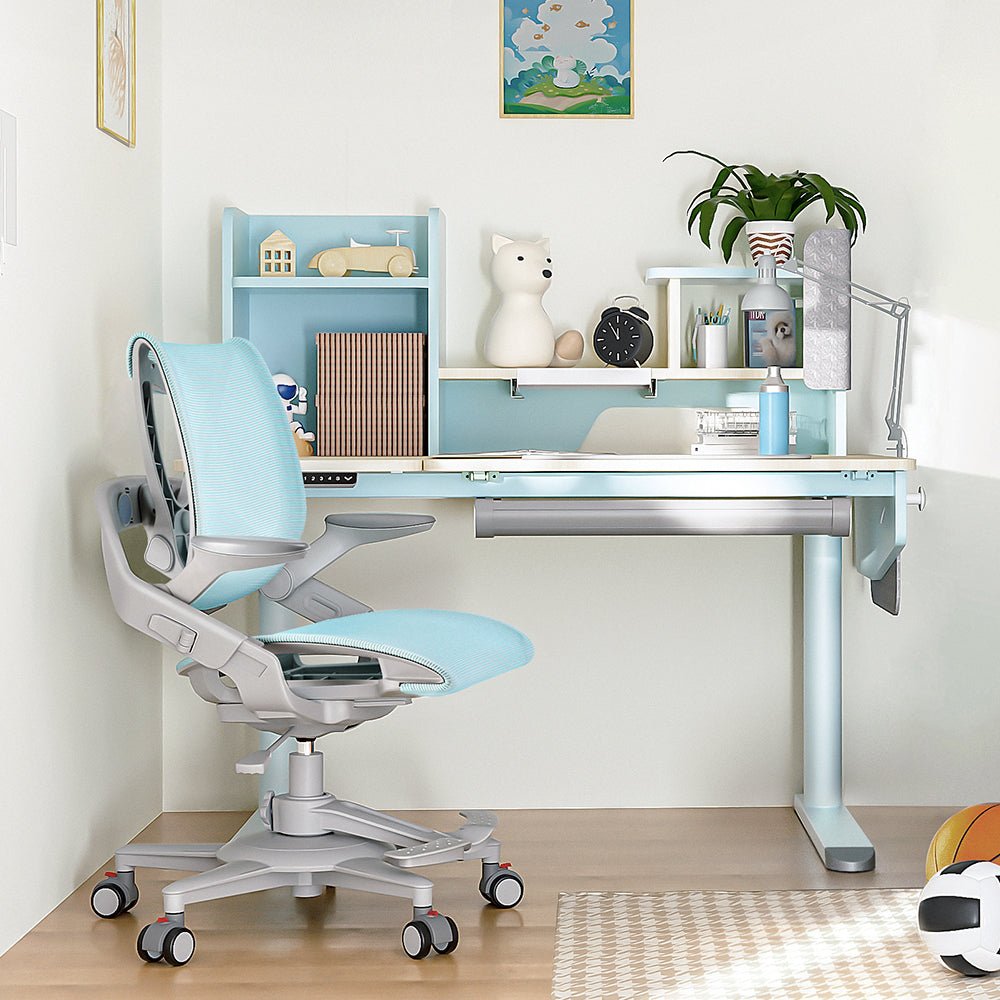 Zee ergonomic kids study desk chair is with beautiful design