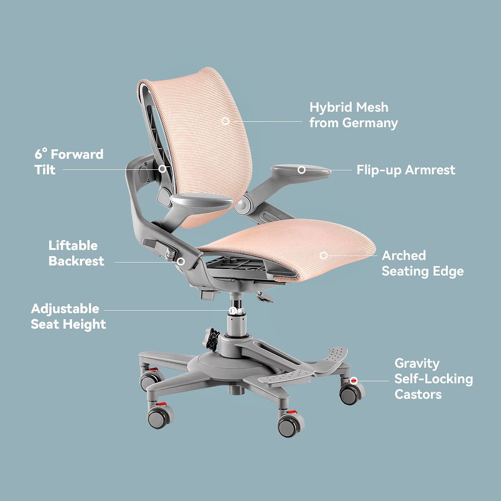 Zee ergonomic study desk chair is with prominent features