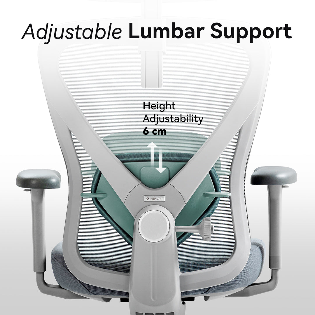 Q1 Ergonomic Office Chair