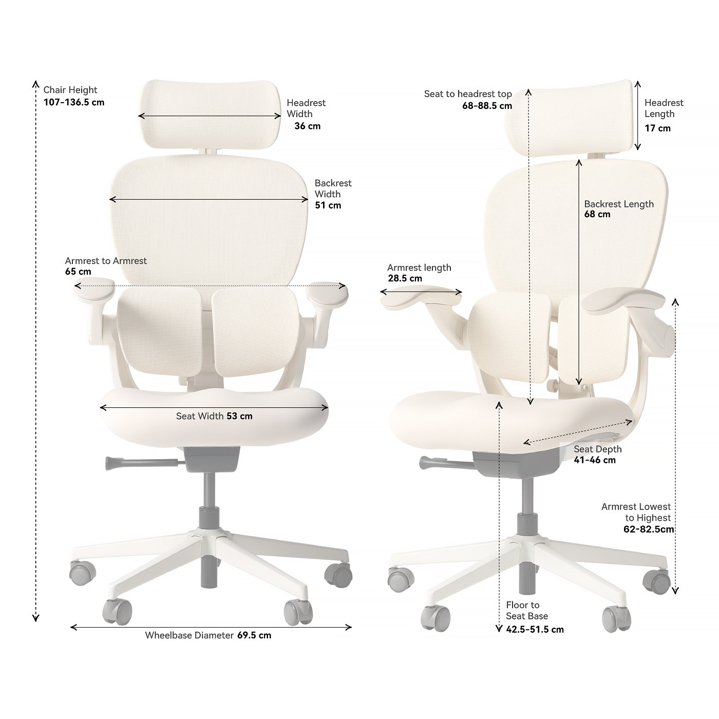 Hinomi Q2 Ergonomic Office Chair with Free Footrest