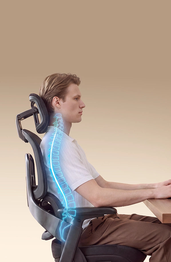 Soporte lumbar