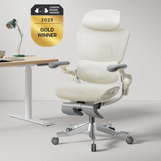 Hinomi H2 Pro Ergonomischer Bürostuhl für Zuhause – Verstellbare Lendenwirbelstütze, Optionaler Fußstütze