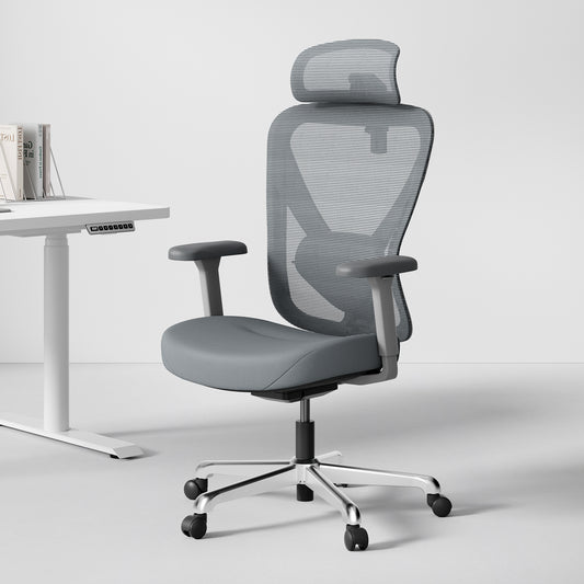 HINOMI Q1 Chaise de Bureau Ergonomique Ajustable