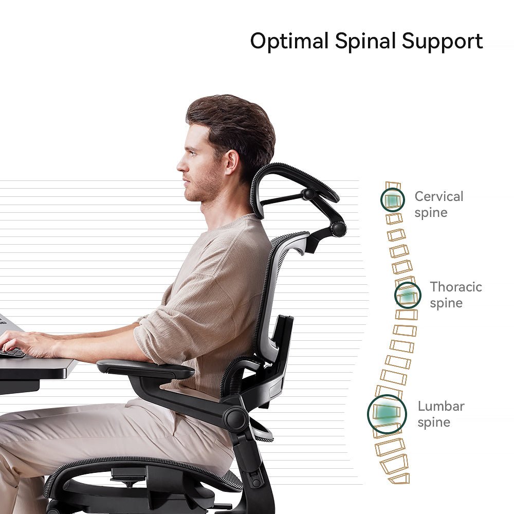 HINOMI H1 Pro 3D Lumbar Support Ergonomic Office/Gaming Chair - 5D Armrests  Leg Rest Included Hybrid Mesh Relieve Back Pain, Foldable, Work from Home