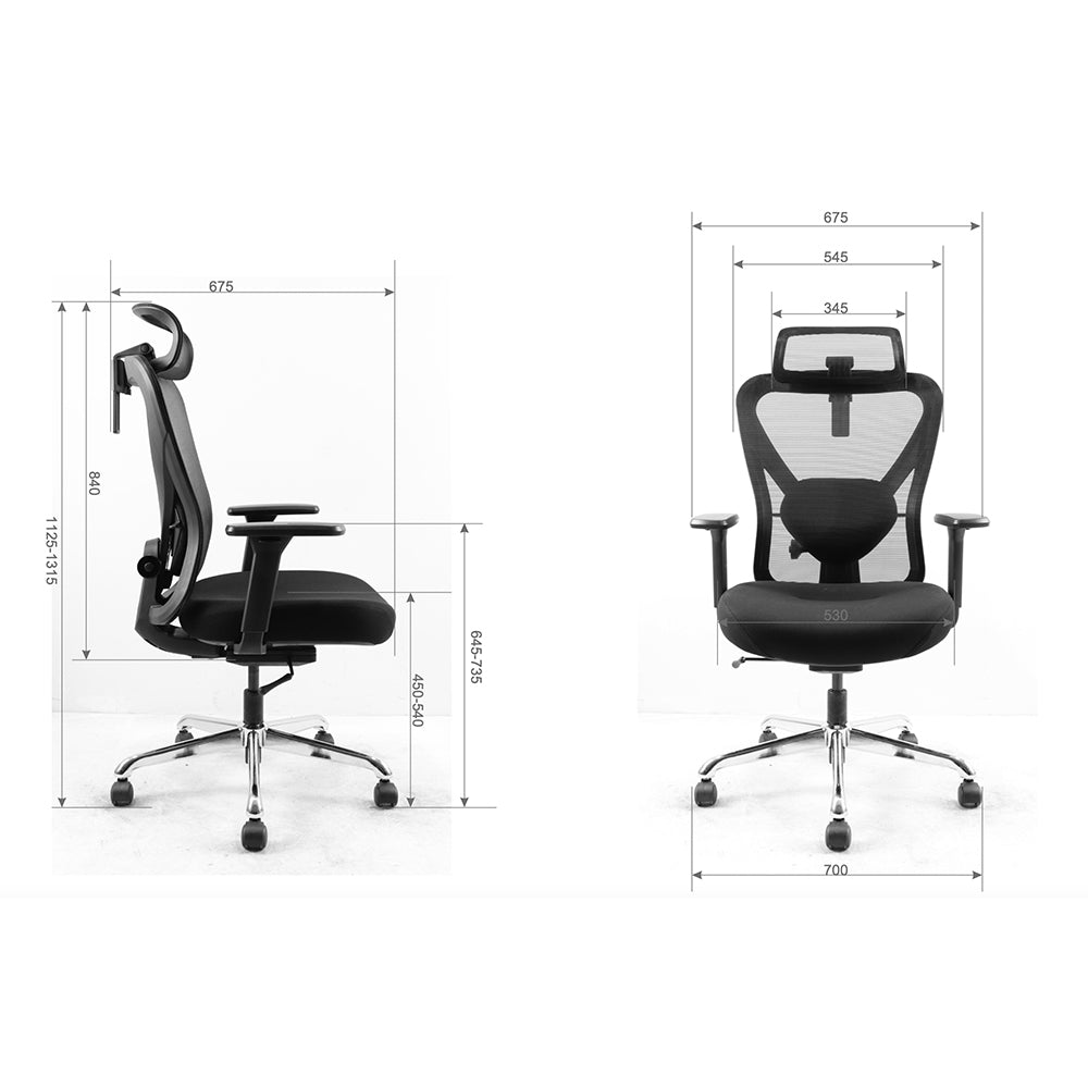 Pre-ordered Q1 Ergonomic Office Chair with all measurements