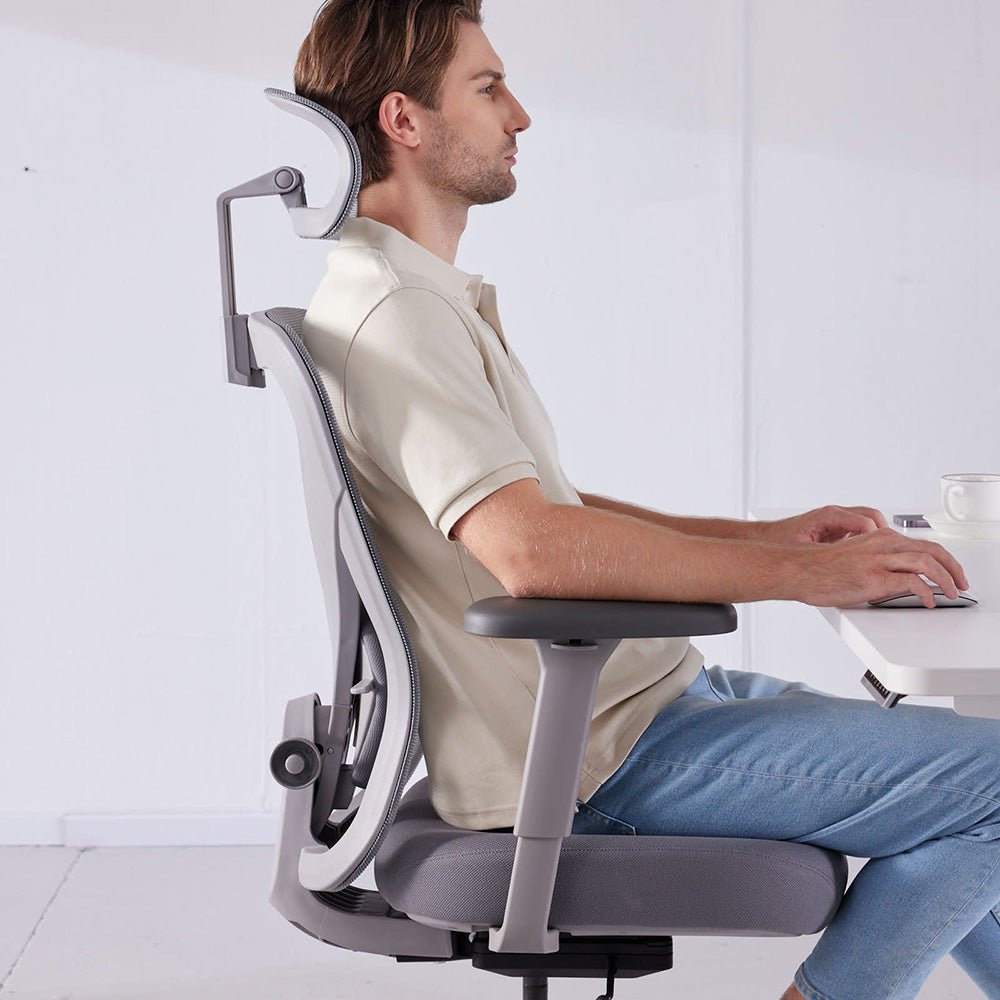 Pre-ordered Q1 Ergonomic Office Chair 