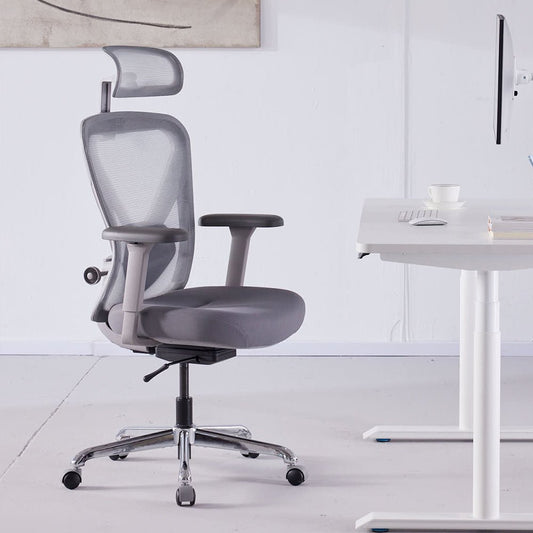 Pre-ordered ergonomic office chair 
