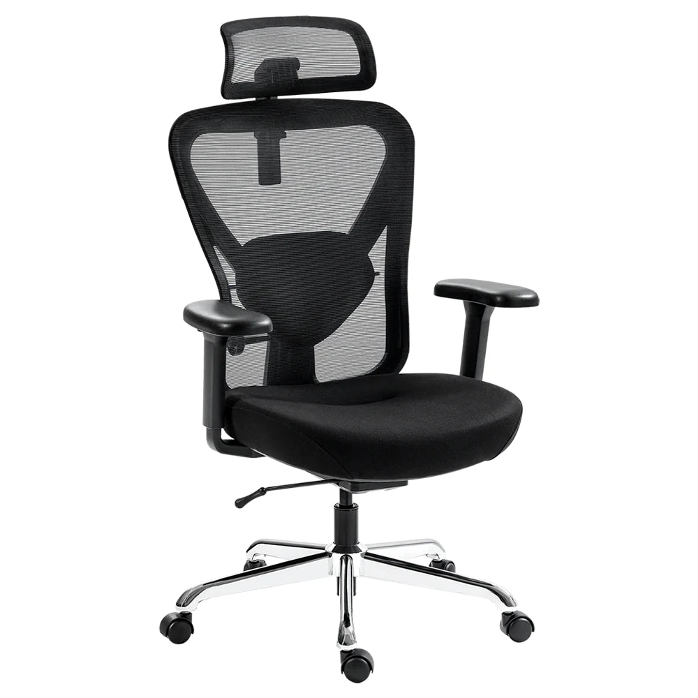 Pre-ordered Q1 Ergonomic Office Chair