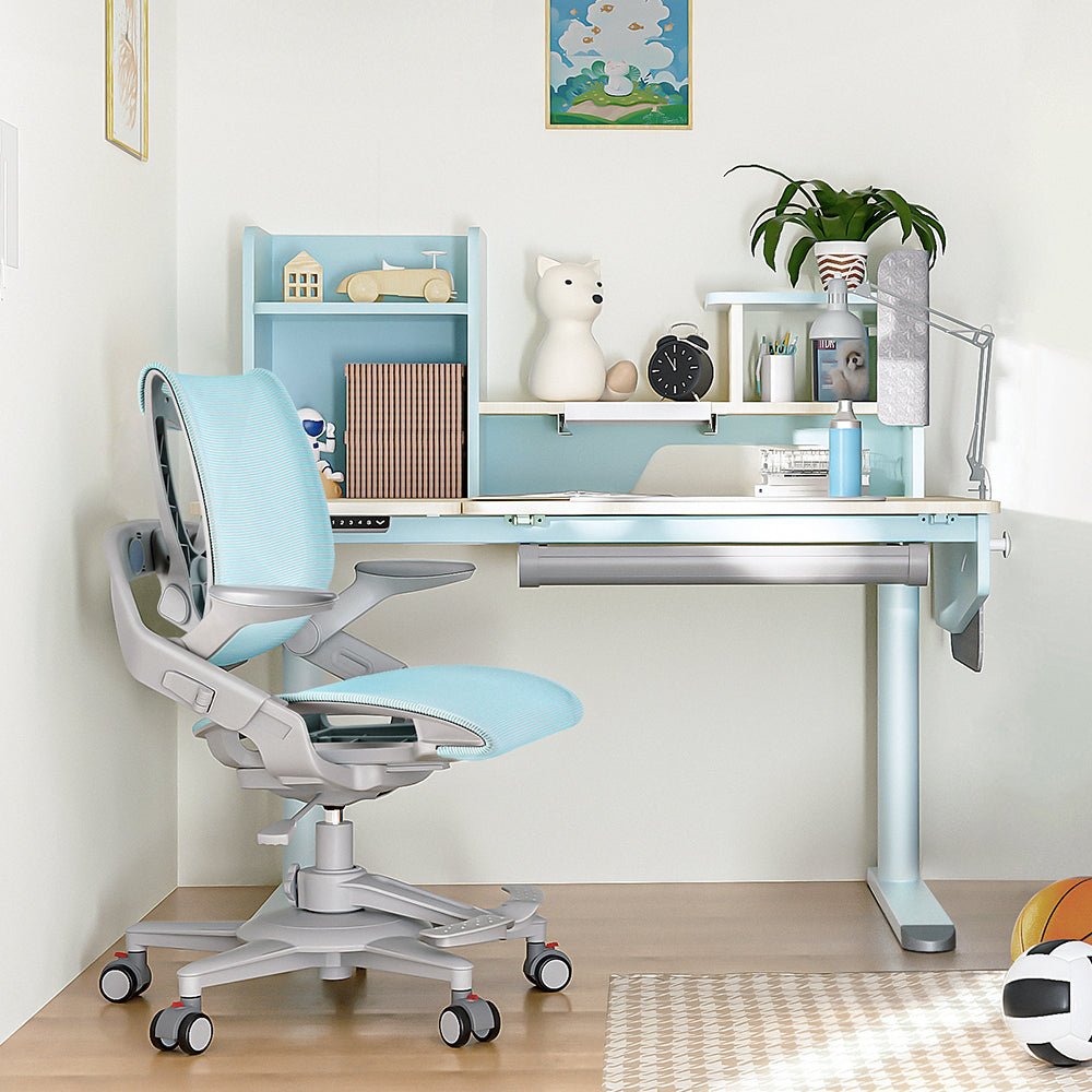 Zee ergonomic kids study desk chair is with beautiful design 