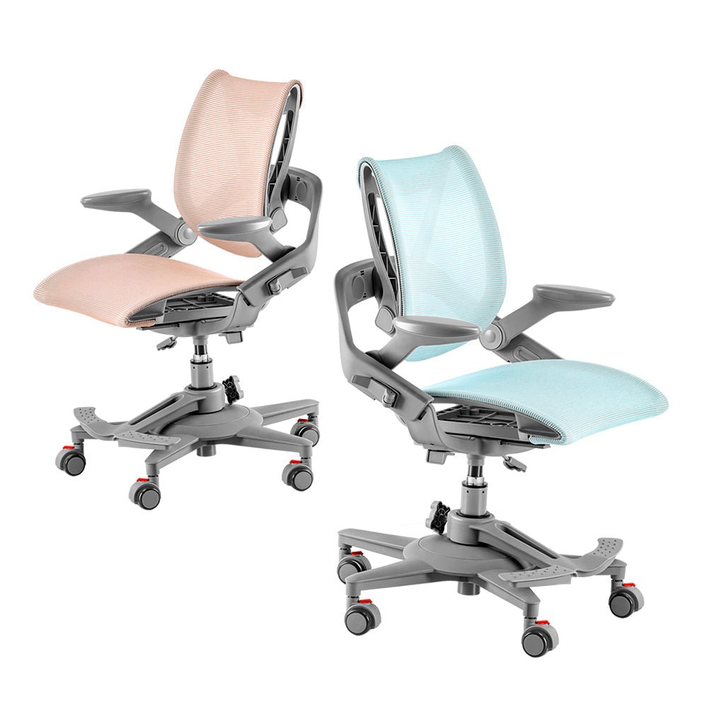 Zee Ergonomic Kids Study Desk Chair comes in two colors